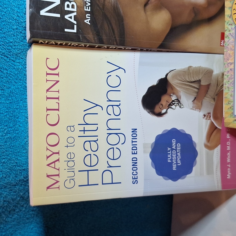 Pregnancy Book Bundle, Maternity Books, Mom Books Book Bindle - Picture 2 of 10